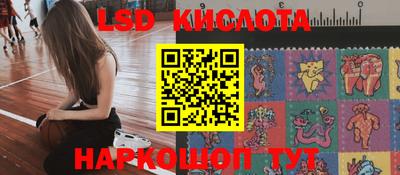 сатива Краснокаменск