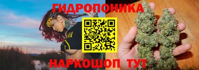 стаф Краснодар